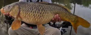 Fishing with Worms